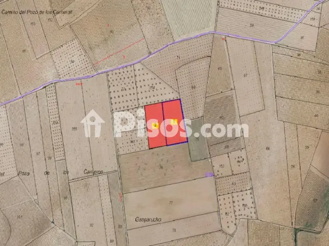 Finca rústica en venta en Membrilla